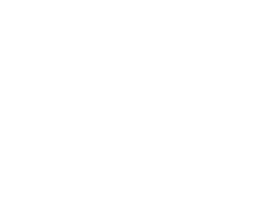 janicek-quote-icon.fw