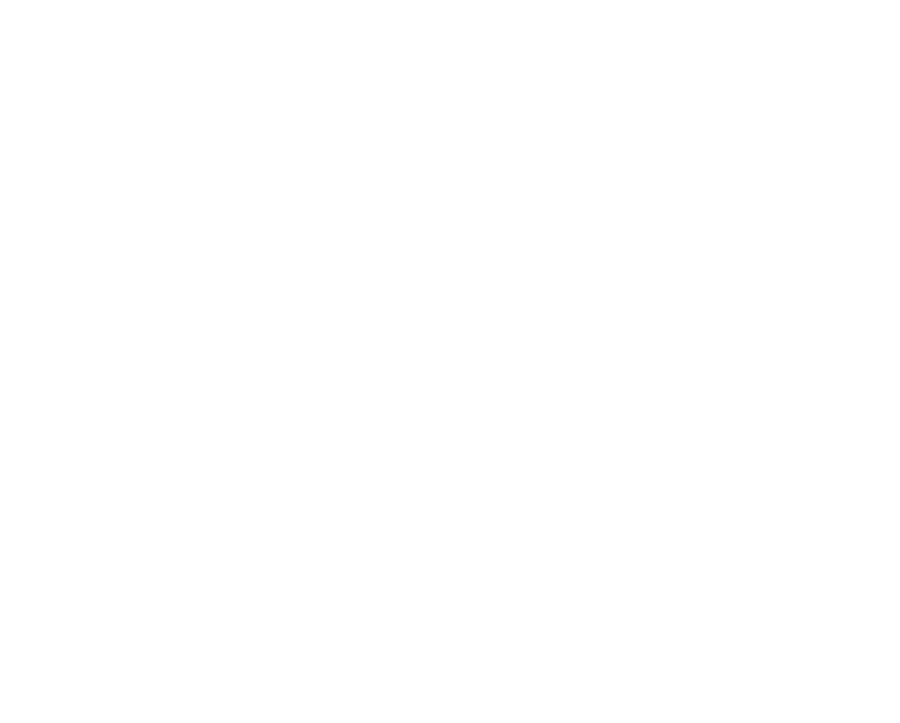 janicek-quote-icon