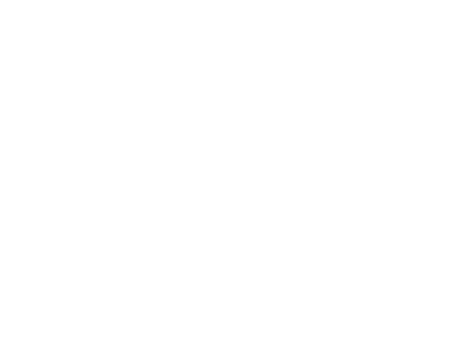 logo-ap