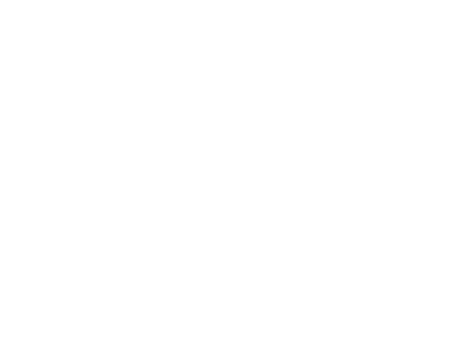logo-iba